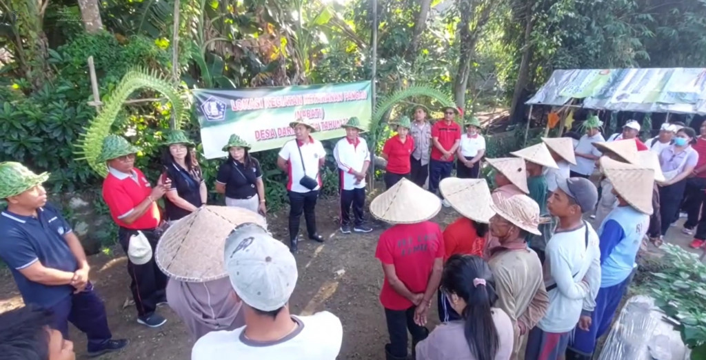 PANEN BAWANG  PEMDES DARMASABA